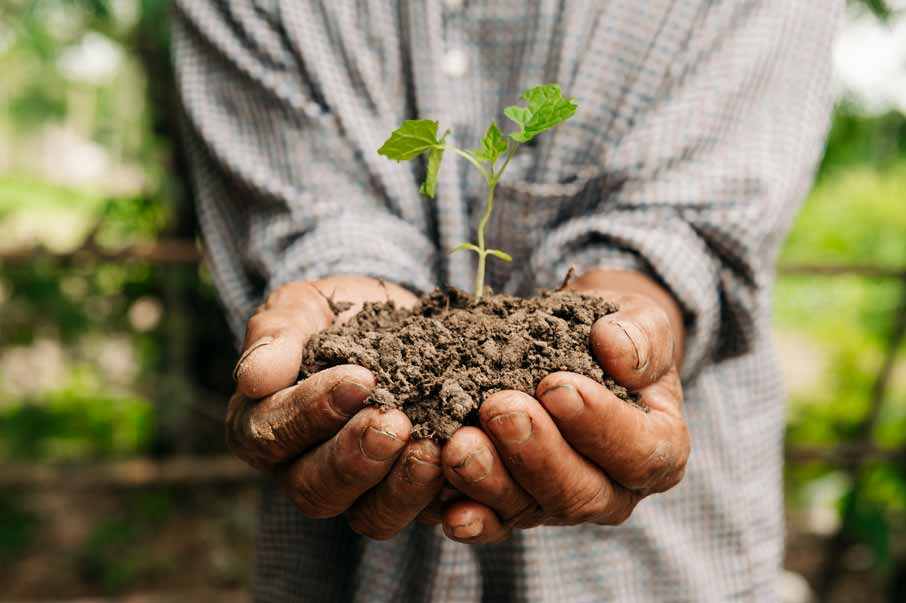 Productos naturales, orgánicos, saludables, de bienestar y para el